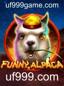 Explorando o Mundo de FunnyAlpaca: Regras e Estratégias